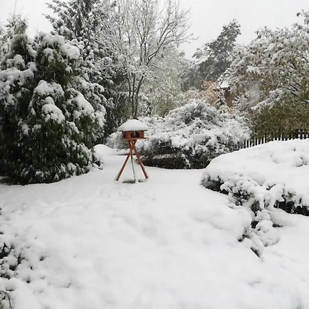 Semesterbostad One-bedroom *