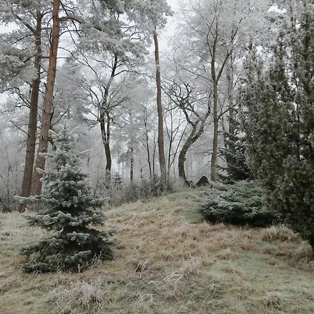 One-bedroom Semesterbostad *